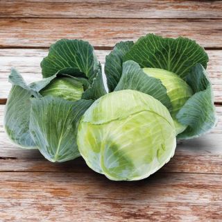 MIssourima RZ Cabbage Thumbnail